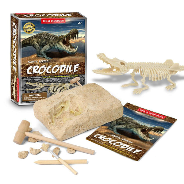 Crocodile Digging Kit - ToyStoreCompany