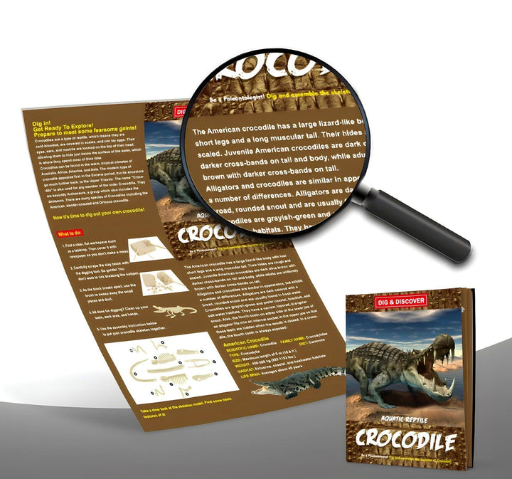 Crocodile Digging Kit - ToyStoreCompany