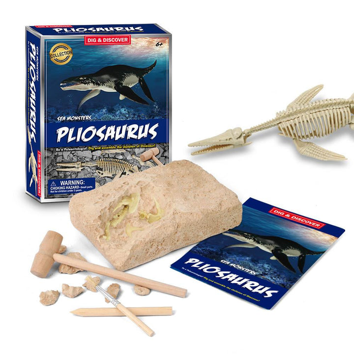 Pliosaurus Digging Kit - ToyStoreCompany