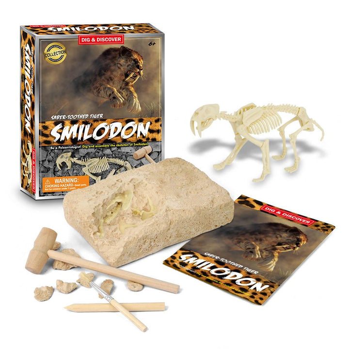 Saber-Toothed Tiger Digging Kit - ToyStoreCompany